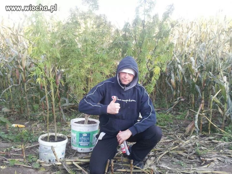 Mógł jeszcze podać adres policji