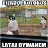 Na co mi autobus 