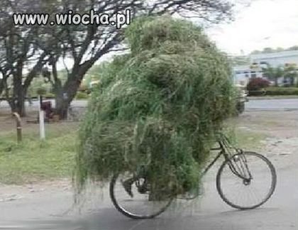 Sniper Ghost Warrior 2