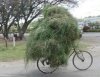 Sniper Ghost Warrior 2