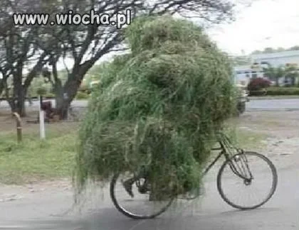Sniper Ghost Warrior 2