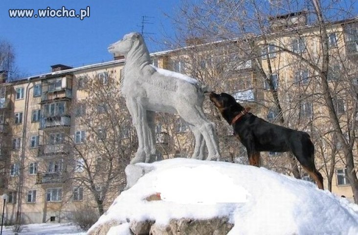A coś ty