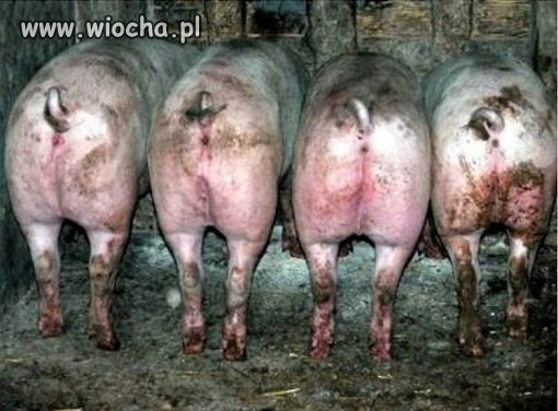 Nowe twarze w rządzie Tuska