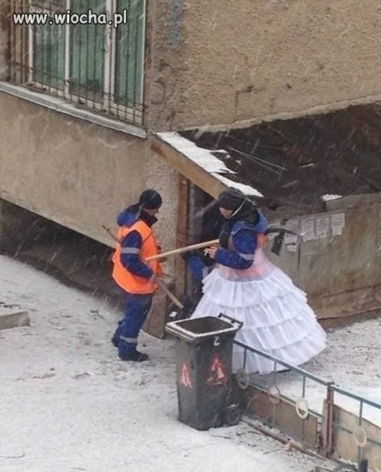 Nu zajac pagadi 