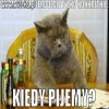 Wy mi tu nie pie***
