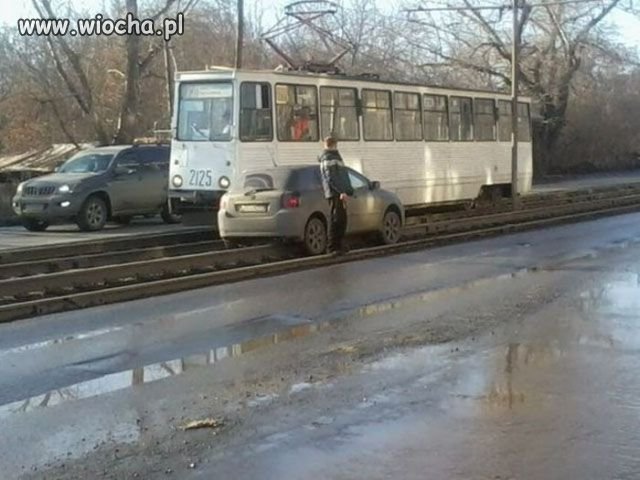 Kozak na drodze