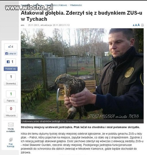 ZUS wykończy każdego...