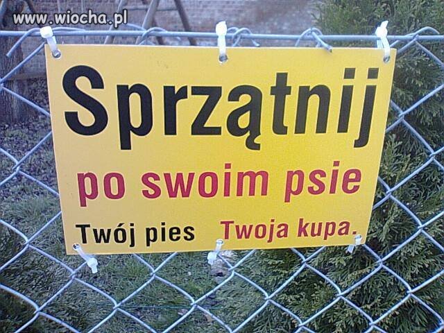 Na podwórku
