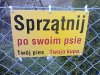 Na podwórku