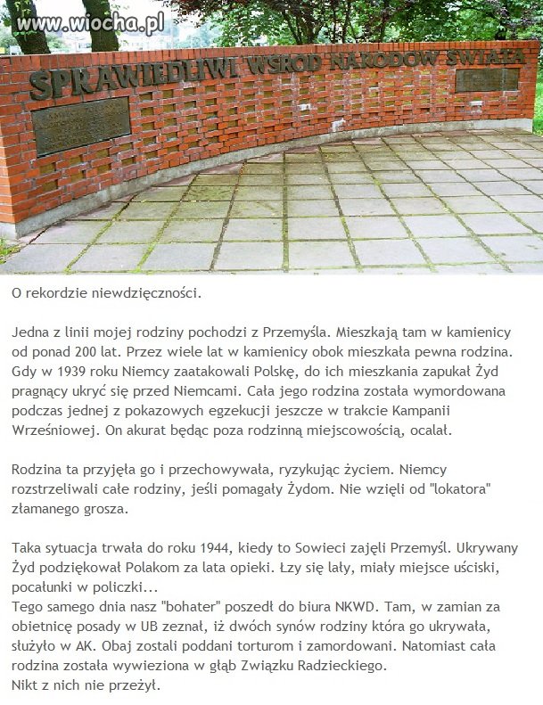 Uczciwość wymaga, panie Gross, opisać wszystko,