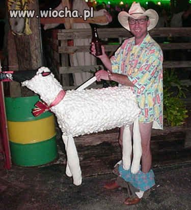 Zgadnijcie za kogo się przebrał ?