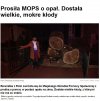 Logika pomocowa w kolejnej odsłonie