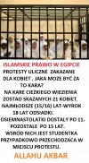 Cały świat patrzył na rewolucję w Egipcie. 