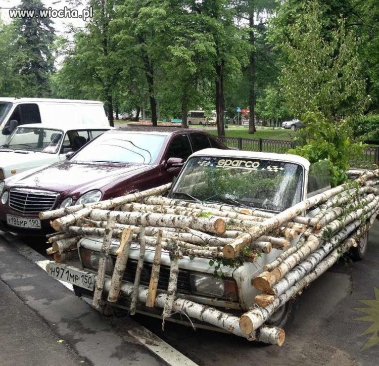 Leśny tuning albo kamuflaż
