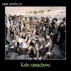 KOŁO ZAMACHOWE