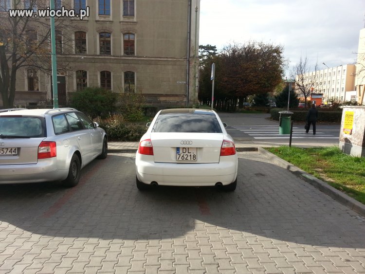 Polski dupek