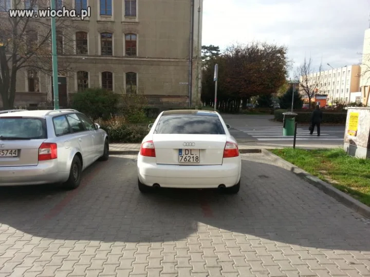 Polski dupek
