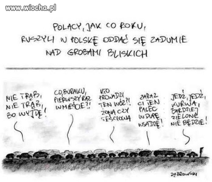 Szczera prawda 