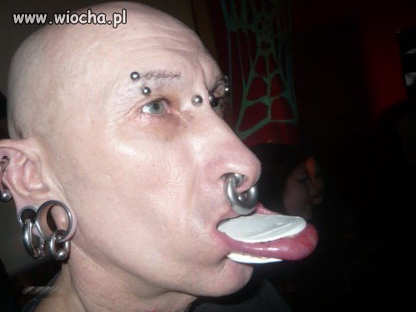 Wargacz pospolity