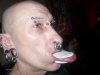 Wargacz pospolity