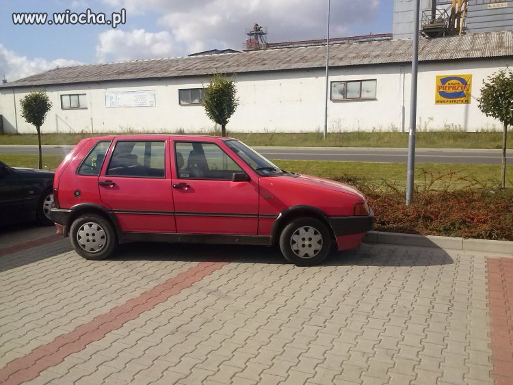 Mistrz parkowania 