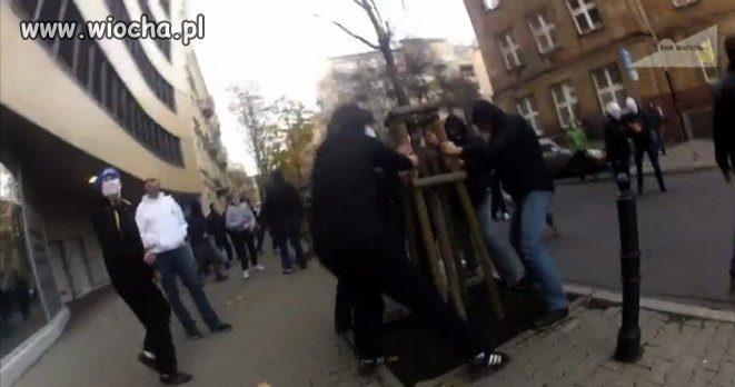 Zapewne to drzewo także ich zaatakowało pierwsze