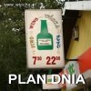Plan dnia