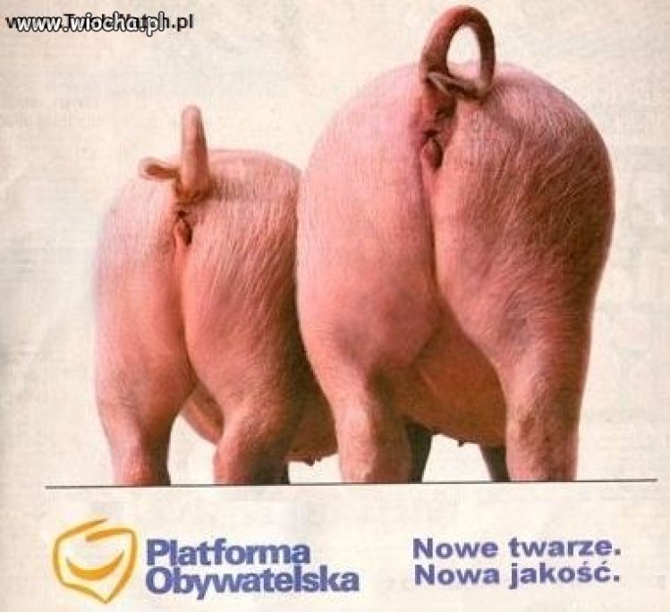 Teraz będzie przepięknie 