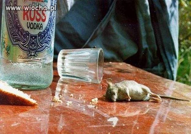 Ruski to nawet mysz upije