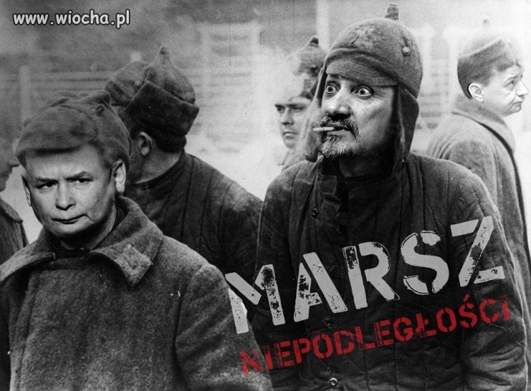 Marsz Niepodległości 