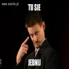 Gall Anonim zanim dodasz kolejny absurd 