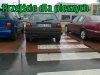 OTO PRAWDZIWY KIEROWCA