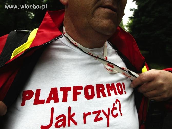 Platformo