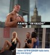 "Trybson i świnie"