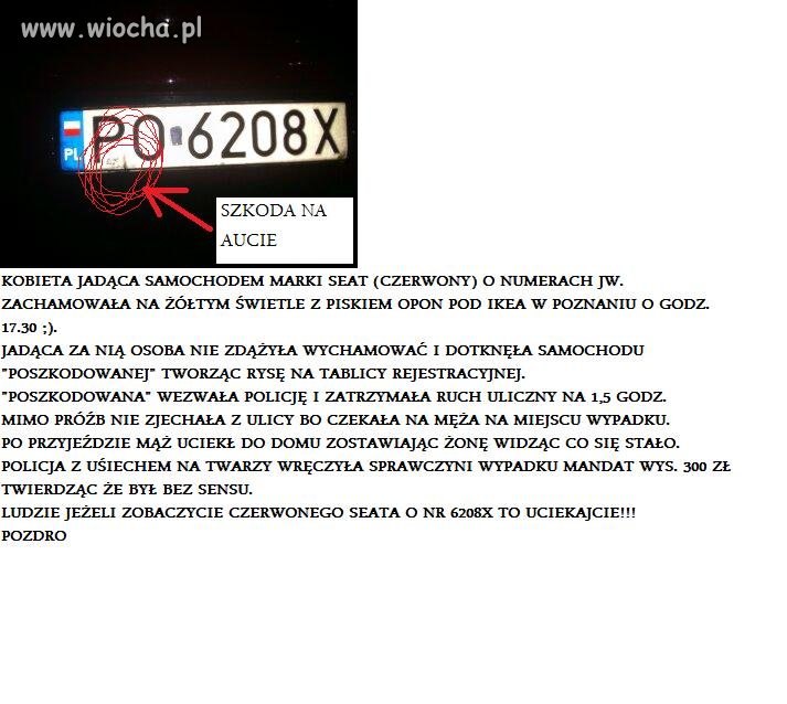 ŻYJEMY W POLSCE (ŻENADA)