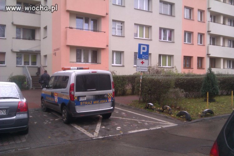 Kolejne ŚWIĘTE KROWY z Będzina