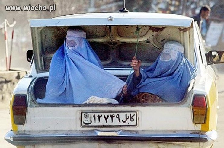 Islamskie nimfy podróżują jak worki z ziemniakami 