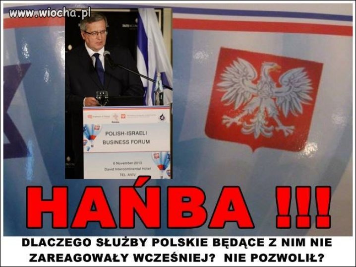 Orzeł bez korony 