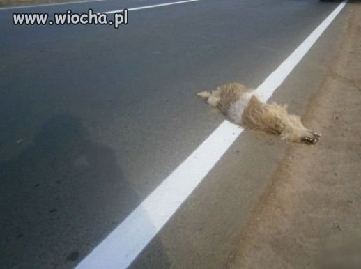 Drogowcy się postarali