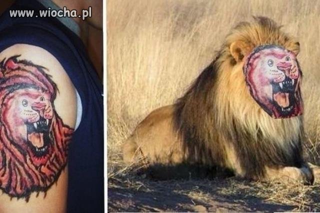 A gdyby takie lwy były  naprawdę  