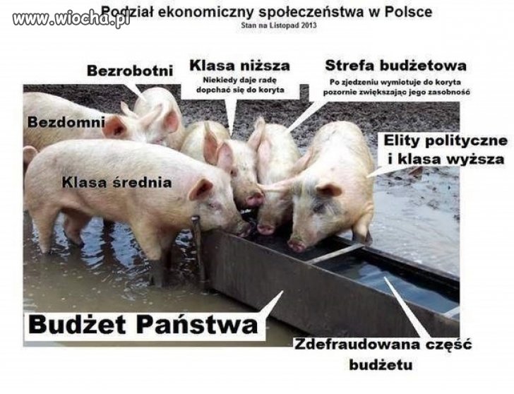 Kto ma jaki dostęp do koryta