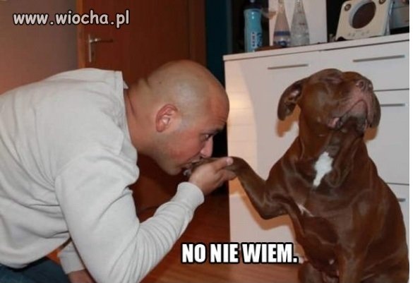 Ktoś tu jest dobrze wytresowany