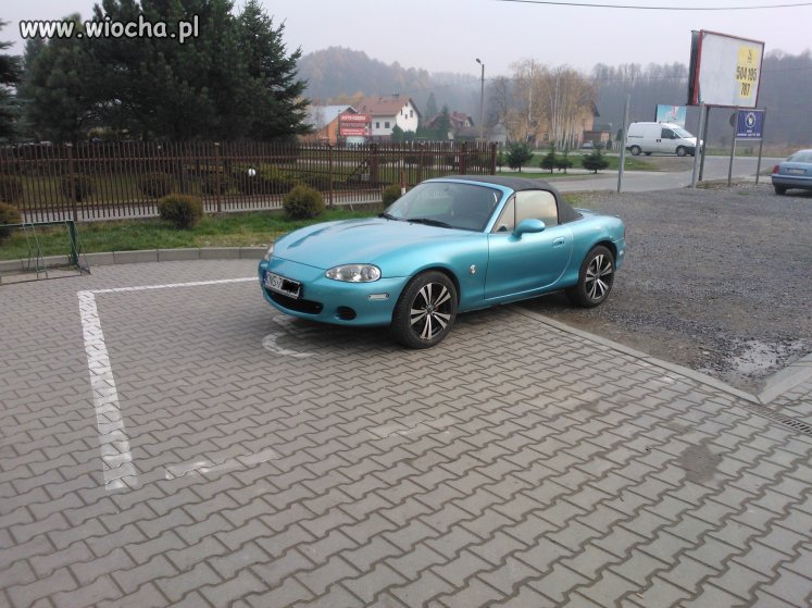 Święta krowa