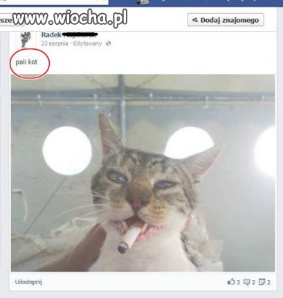 Z serii mój właściciel jest idiotą...