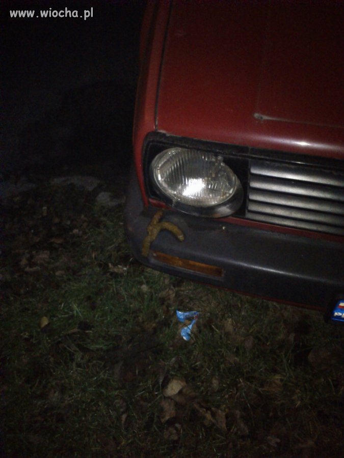 Rozumiem nie sprzątać po psie 