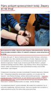 Wzorowy Policjant 
