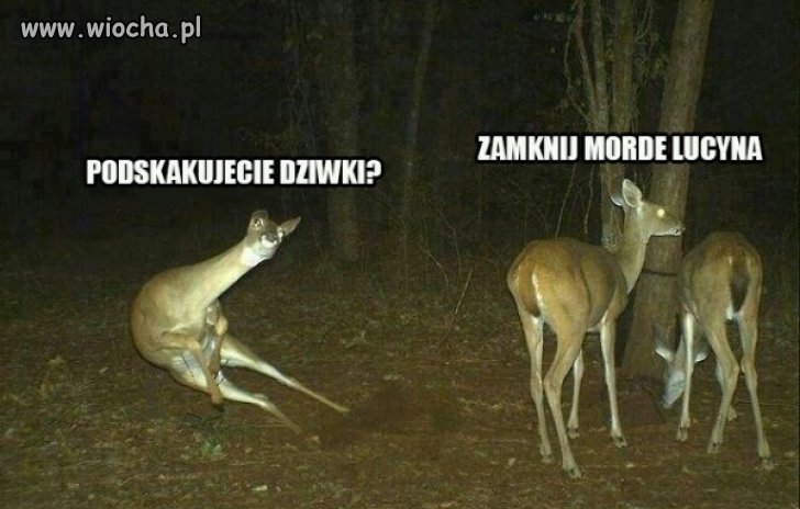 Zła Lucyna.