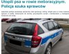 żeby było sprawiedliwie