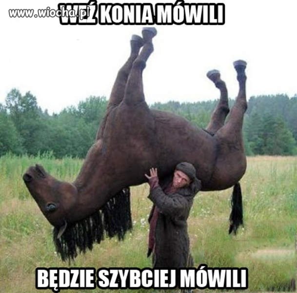 Weź konia