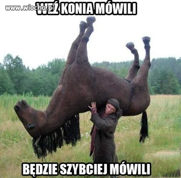 Weź konia